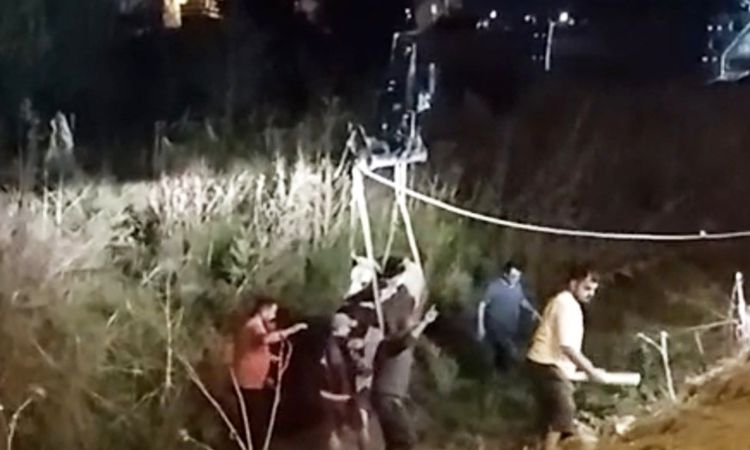 Arnavutköy'de Bataklığa Saplanan İnek İş Makineleriyle Kurtarıldı - Son Dakika Bilgileri