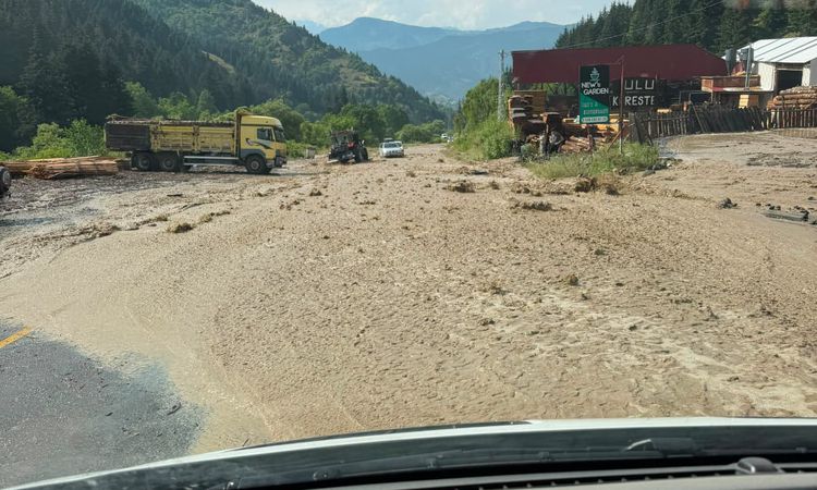 Artvin'de sağanak yolları göle çevirdi - Son Dakika Haberleri ve Merak Edilenler