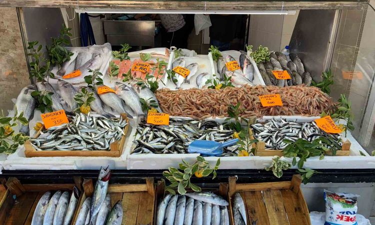 Son Gelişme: Av yasağı öncesi Karadeniz'de balık bolluğu: Palamut 80 TL, hamsi 500 TL - Son Dakika - Son Dakik
