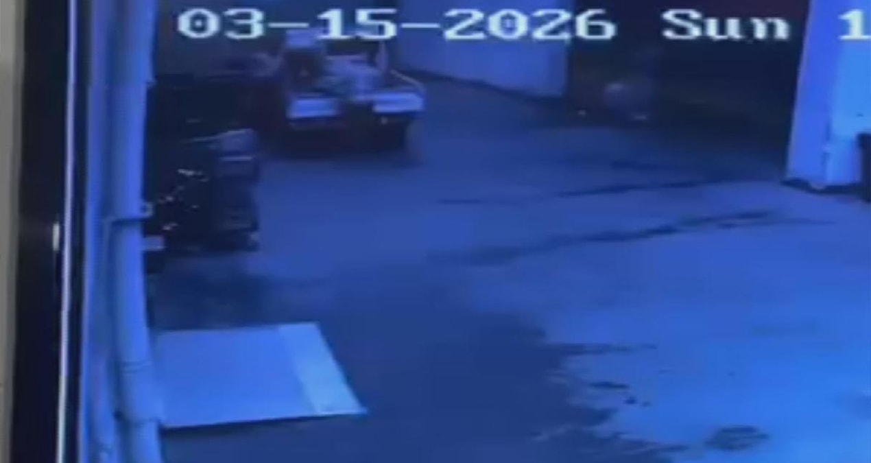 Ayrıntılar Netleşti: Avcılar'da palet hırsızlığı kameralara yansıdı - En Son Haber: Gelişmeler Takip Ediliyor