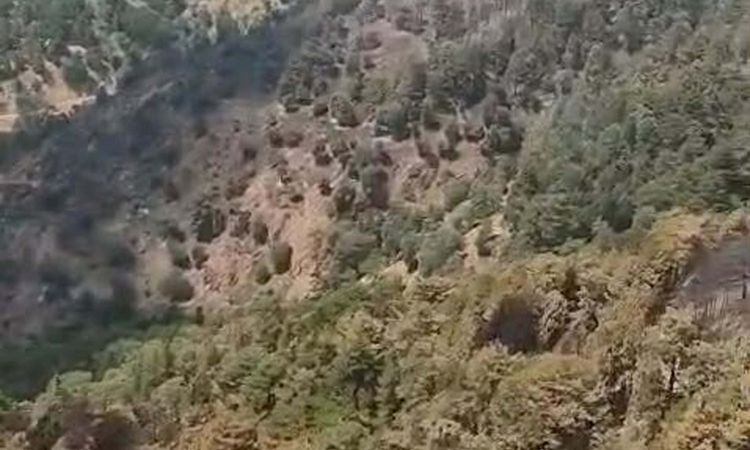 Ayrıntılar Netleşti: Aydın'daki orman alevlerı 2'nci gününde - Haberleri ve Merak Edilenler