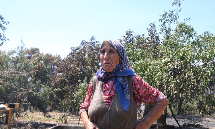 Gündemden Son Bilgiler: Aydın'ın Çine ilçesindeki orman alevlerından etkilenen kadına yem yardımı - Son Dakika