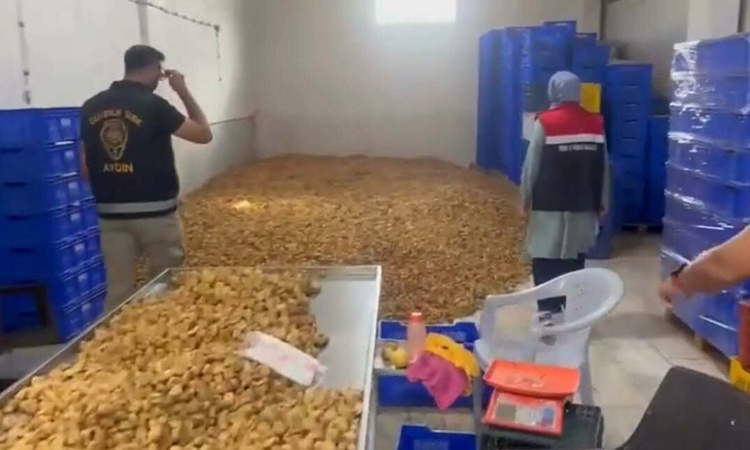 Aydın Köşk'te 25 ton etiketsiz incir ele geçirildi, işletmeye 236 bin TL ceza kesildi
