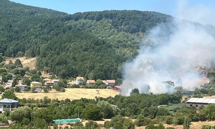 Kritik Açıklama: Aydın Kuyucak'ta zeytinlik alanda çıkan alevler dizginlendi - Son Dakika ve Merak Edilenler