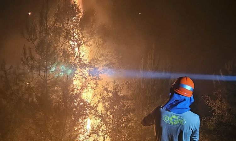 An area of ​​20 decares was damaged in forest fires in Aydın - Breaking News