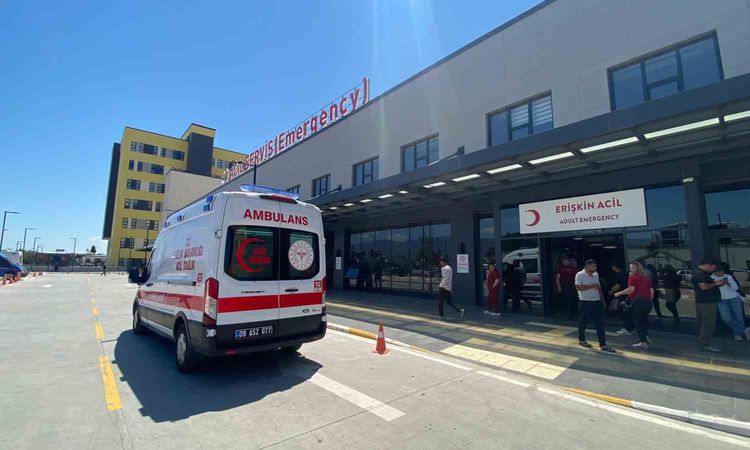 Aydın'da Trafik Işıklarında Satış Yapan Yaşlı Kadın Kamyonetin Çarpması Sonucu yaşamını yitirdi - Son Dakika H