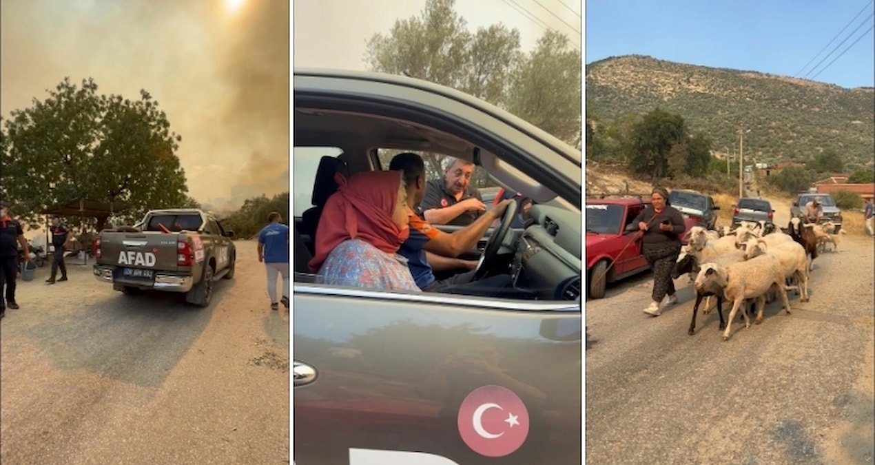 Fire in olive groves and grasslands in Aydın; Two neighborhoods evacuated - Latest News