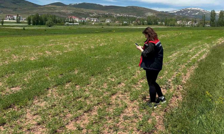 Product identification studies continue in Aydıntepe - News