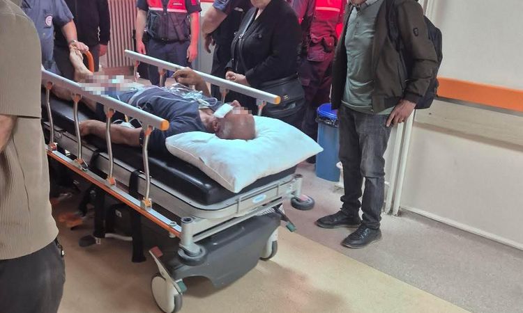 Son Gelişme: Ayı Saldırısına Köpekleriyle Karşı Koyan Çoban Yaralı Kurtuldu - Haberleri ve Merak Edilenler