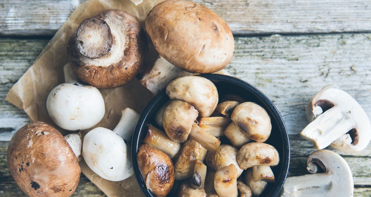 They ate the same mushroom, only one of them was poisoned: The hidden danger that destroys the liver in minutes - Breaking News