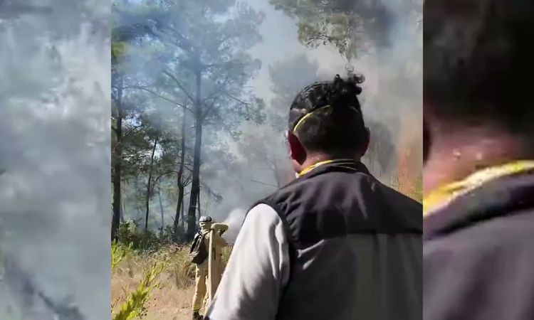 Ayrıntılar Netleşti: Adana ve Kayseri sınırındaki yangınların enerjisi düşürüldü, Antalya’da müdahale sürüyor