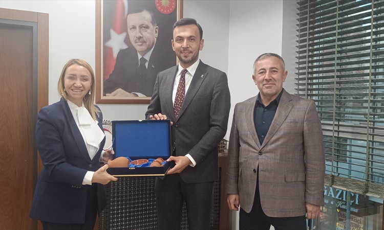 Ayrıntılar Netleşti: AK Parti Genel Merkez İl Koordinatörü Toklu, Bilecik Pazaryeri'nde ziyaretler yaptı | İşt