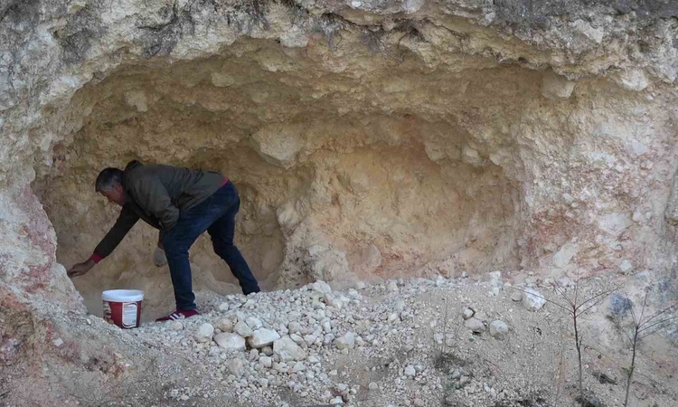 Ayrıntılar Netleşti: Amasya'da pekmez için dağları oyan köylüler kadın erkek birlikte üretiyor: Gelişmeler Tak