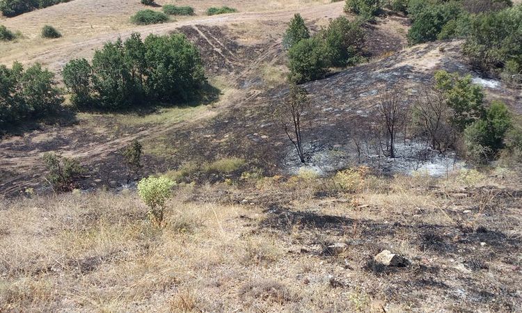 Ayrıntılar Netleşti: Anız yangınında yaklaşık 25 dönüm arazi küle döndü - Son Dakika Bilgileri