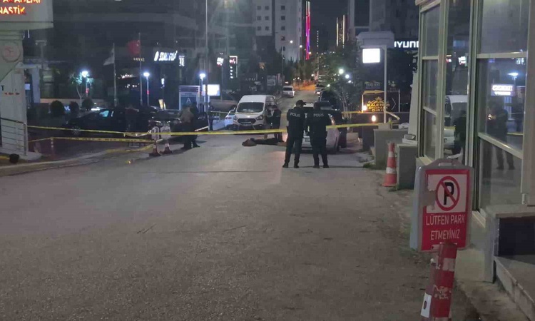 Ayrıntılar Netleşti: Ankara Çankaya'da silahlı alacak-verecek kavgasında 1 kişi öldü, 1 kişi yaralandı.: Geliş