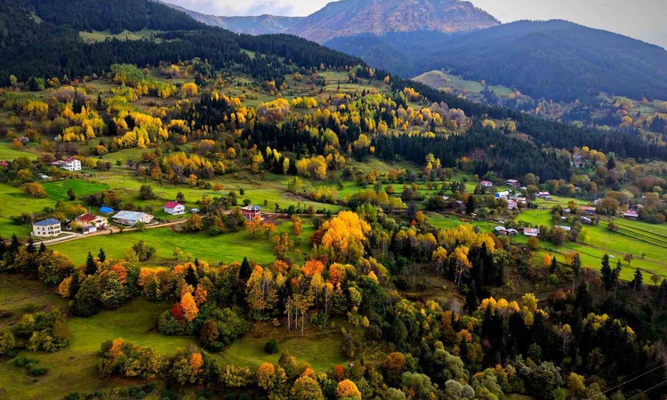 Ayrıntılar Netleşti: Artvin'in Şavşat ilçesindeki Yavuzköy'de sonbahar renkleri dronla görüntülendi | İşte Tüm