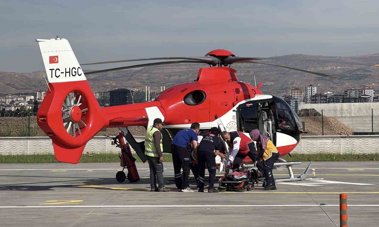 Ayrıntılar Netleşti: Ayını saldırısına uğrayan vatandaş için ambulans helikopter havalandı: Gelişmeler Takip E