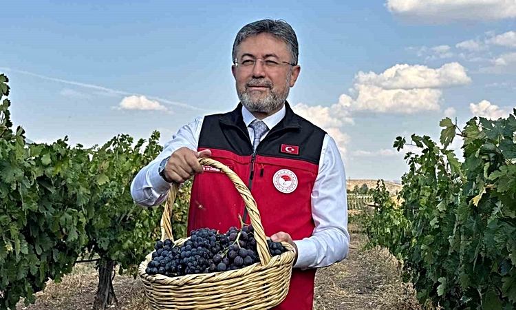 Ayrıntılar Netleşti: Bakan Yumaklı, bu yıl üzüm üretiminin 3 milyon 850 bin tona ulaşacağını tüm detaylarıyla