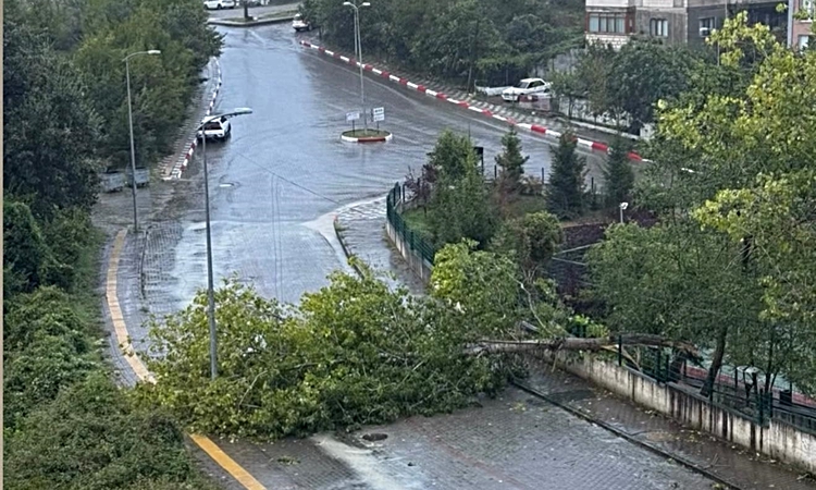 Ayrıntılar Netleşti: Bartın'da rüzgar ağaçları devirdi, asansörlerde mahsur 10'dan fazla kişi kurtarıldı