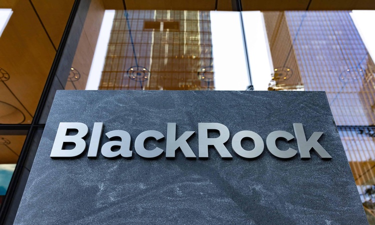 Ayrıntılar Netleşti: BlackRock'tan Japonya'da stablecoin ortaklığı: Gelişmeler Takip Ediliyor