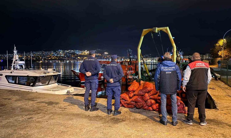 Ayrıntılar Netleşti: Bursa Gemlik'te kaçak midye avcılarına 182 bin 6 TL ceza kesildi ve Merak Edilenler