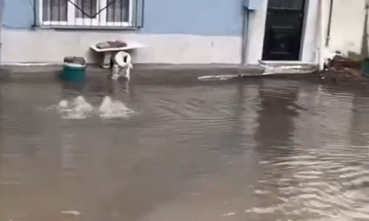 Ayrıntılar Netleşti: Bursa'da sağanak yaşamı etkiledi, Valilik 3 ilçede 80 km rüzgar uyarısı yaptı
