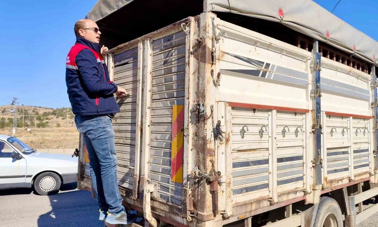 Ayrıntılar Netleşti: Dazkırı'da canlı hayvan nakli araçları bulaşıcı hayvan hastalığına karşı denetlendi
