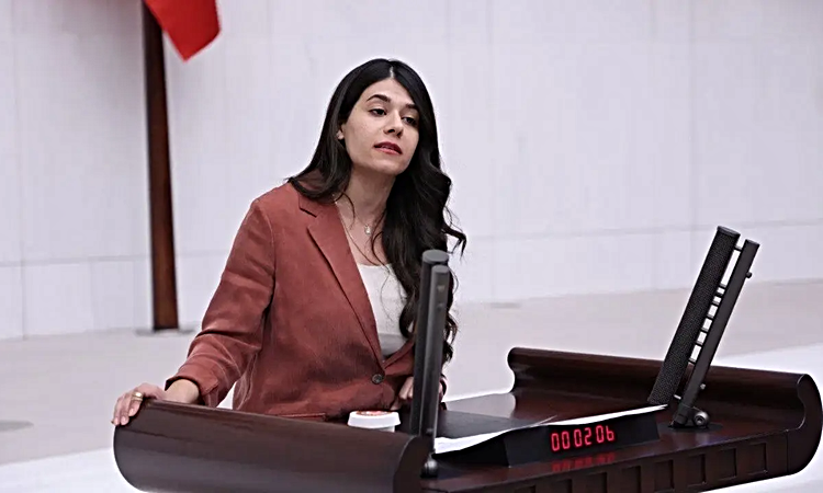 Ayrıntılar Netleşti: DEM Parti Milletvekili Altın, Kızıltepe’de çocukların bulunduğu eve baskını Meclis gündem