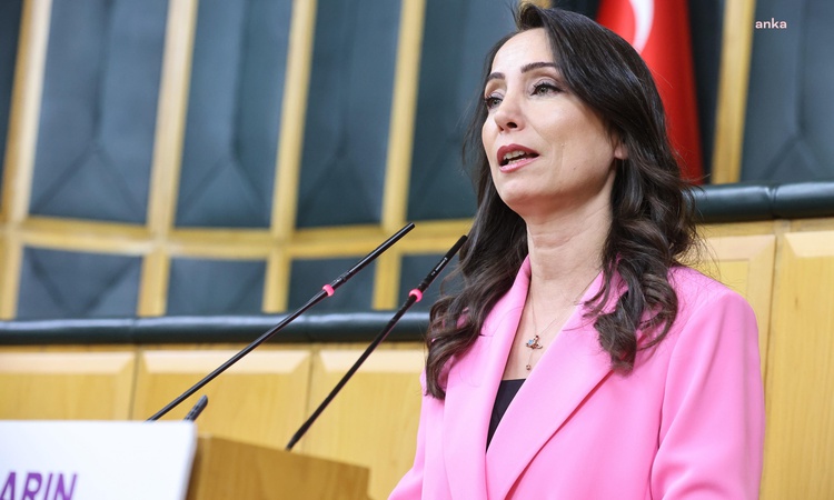 Ayrıntılar Netleşti: DEM Partili Hatimoğulları, Öcalan'ın özgürce çalışıp iletişim kurmasını istedi | İşte Tüm