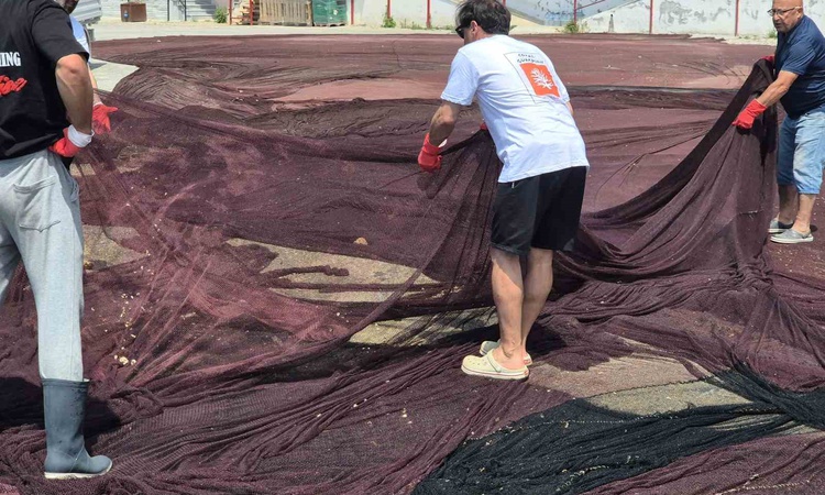 Ayrıntılar Netleşti: Deniz Yaşamını Koruma Derneği Adalar'da 800 kilogram hayalet ağ çıkardı: Gelişmeler Takip