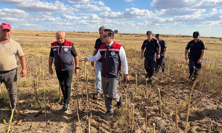 Ayrıntılar Netleşti: Edirne'den kısa kısa ve Merak Edilenler