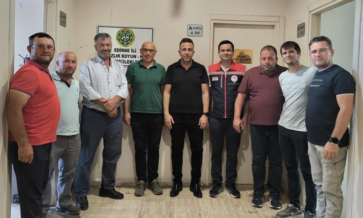 Ayrıntılar Netleşti: Edirne'de küçükbaş hayvancılığın durumu değerlendirildi ve Merak Edilenler