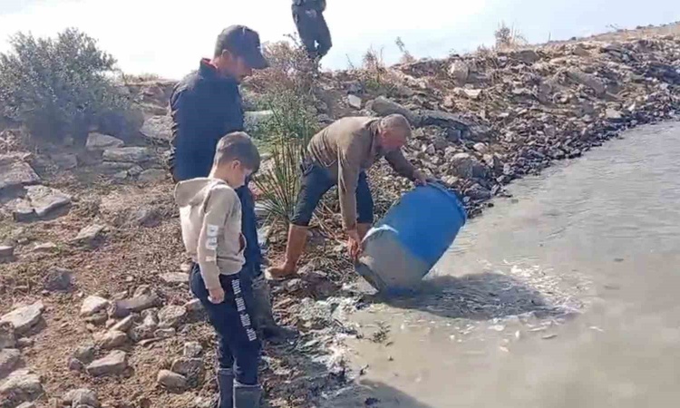 Ayrıntılar Netleşti: Edirne Meriç'teki Küplü beldesinde mahsur kalan balıklar göletlere bırakıldı