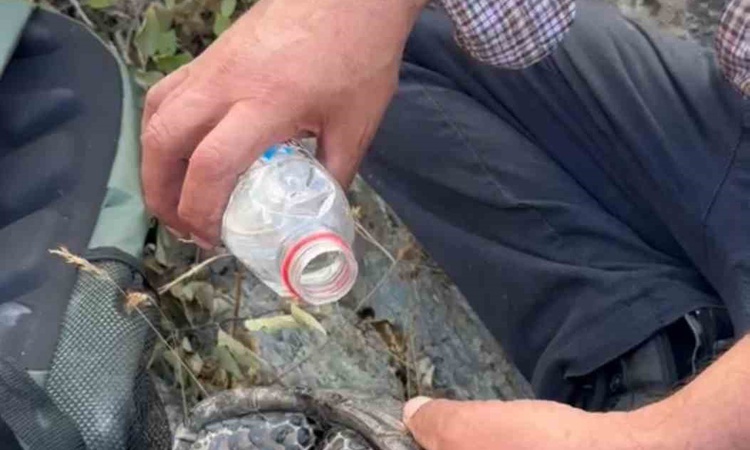 Ayrıntılar Netleşti: Elazığ Palu'da alevlerden kaçan kaplumbağa vatandaşların suyuyla kurtarıldı ve Merak Edil