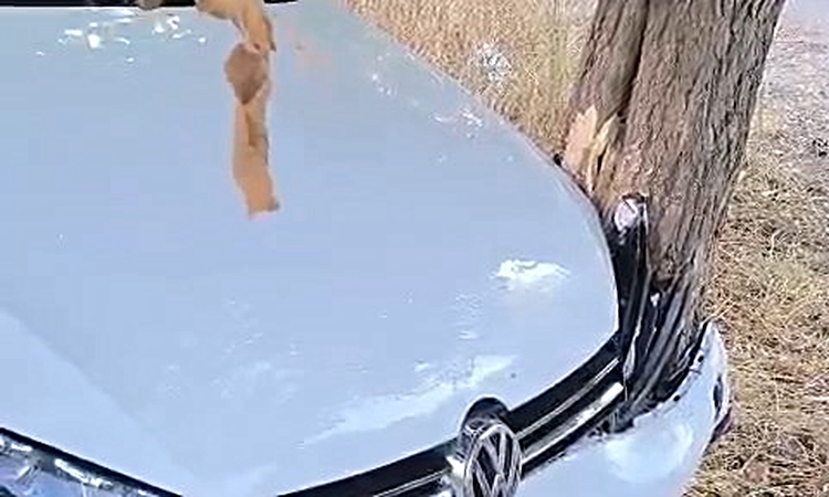 Ayrıntılar Netleşti: Elazığ’da trafik kazası: 2 yaralı: Gelişmeler Takip Ediliyor