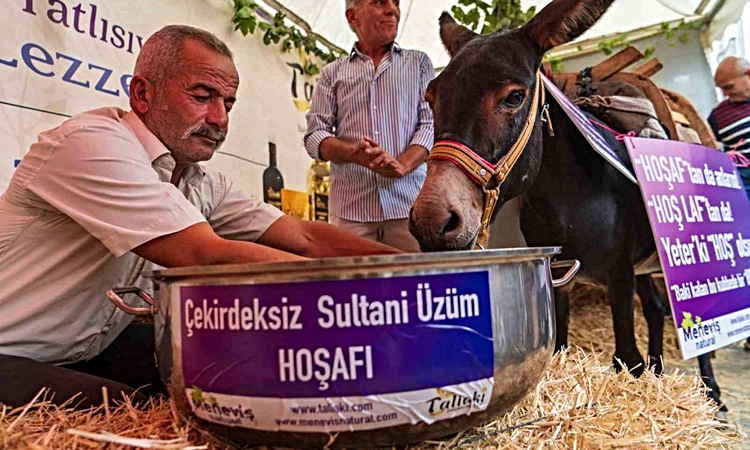 Ayrıntılar Netleşti: Eşek hoşafa direndi, ortaya renkli görüntüler çıktı: Gelişmeler Takip Ediliyor
