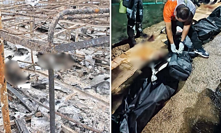 Ayrıntılar Netleşti: Filipinler'deki yolcu feribotunda çıkan yangında ölü sayısı 76'ya artış grafiği çizdi | İ