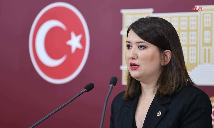 Ayrıntılar Netleşti: Gökçen, eski Bakan Kaya'nın kamu kaynağı hesabını vermediğini savundu - Son Dakika Bilgil