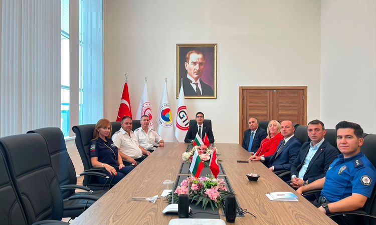 Ayrıntılar Netleşti: Hamzabeyli Sınır Kapısı'nda Gurbetçi Yoğunluğu İçin Türk-Bulgar İş Birliği ve Merak Edile