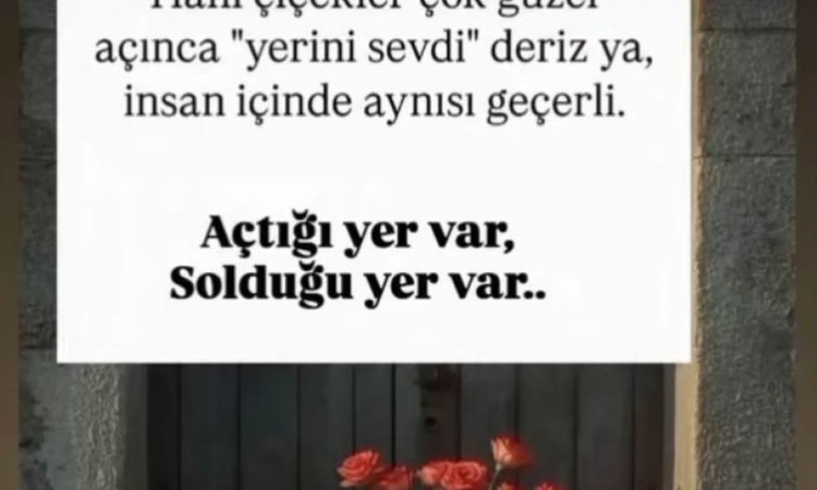 Ayrıntılar Netleşti: Hatay Payas'ta eşini öldüren zanlı yakalandı, 2 saat önceki paylaşımlar dikkat çekti | İş