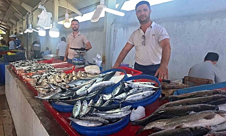 Ayrıntılar Netleşti: Hisarcık’ta vatandaşların en çok tercih ettiği balık türü palamut oldu - Son Dakika Bilgi