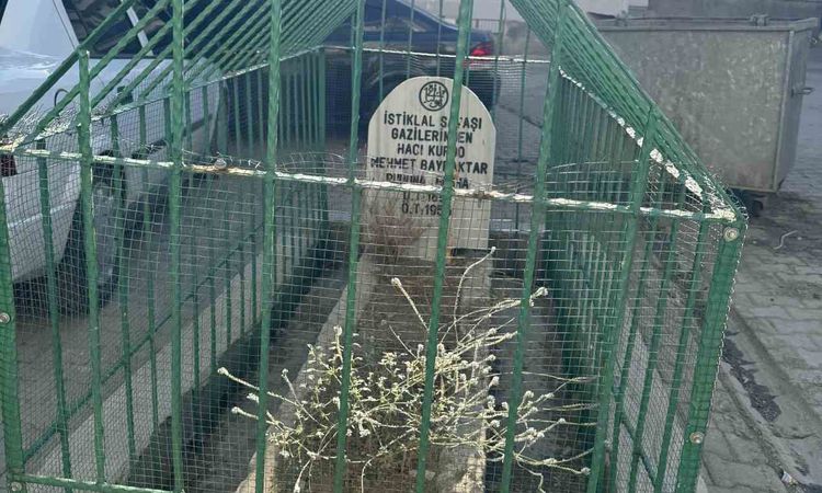Ayrıntılar Netleşti: İstiklal Savaşı gazisinin mezarı yerleşim yerinin ortasında kaldı: Gelişmeler Takip Edili