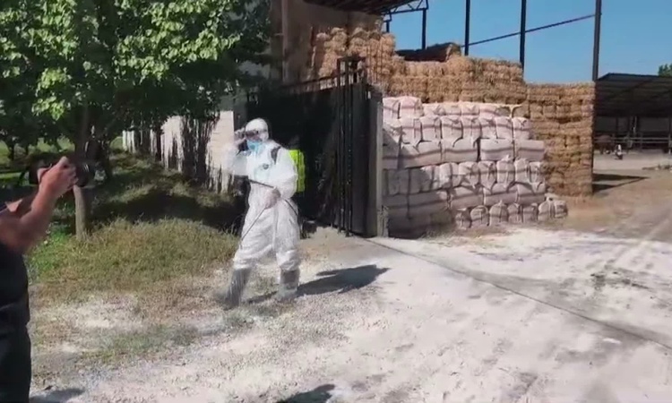 Ayrıntılar Netleşti: Iğdır'da şap hastalığına karşı 60 binden fazla büyükbaş aşılandı ve Merak Edilenler