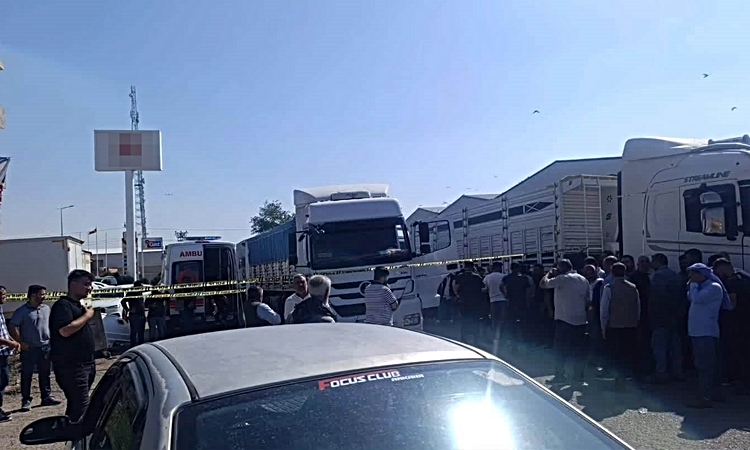 Ayrıntılar Netleşti: Kamyon şoförü aracında ölü bulundu
