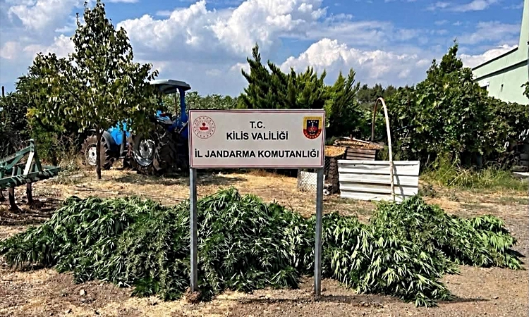 Ayrıntılar Netleşti: Kilis Hisar'da jandarma 40 kilo 500 gram esrar ele geçirdi, 1 kişiyi gözaltına aldı: Geli
