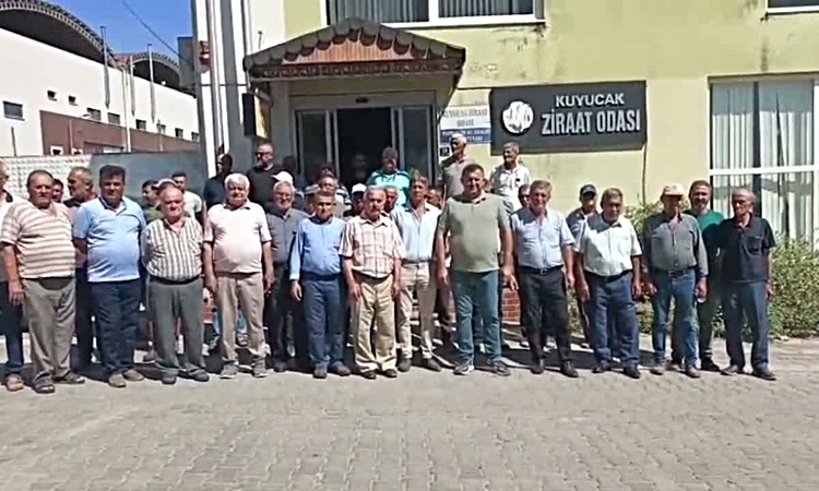 Ayrıntılar Netleşti: Kuyucak’ta hasat öncesi su alarmı: "Üreticimiz mağdur" | İşte Tüm Ayrıntılar