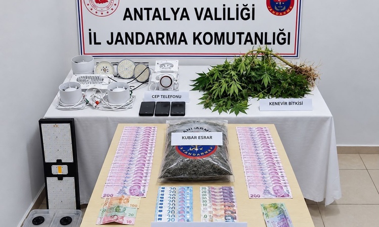 Ayrıntılar Netleşti: Manavgat'ta jandarma operasyonunda uyuşturucu yetiştiren şüpheli yakalanarak gözaltına se