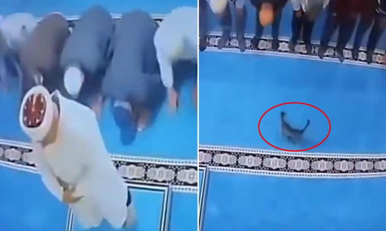 Ayrıntılar Netleşti: Namazda akılalmaz olay! Tekmelediği kedi imamın başına çarptı | İşte Tüm Ayrıntılar