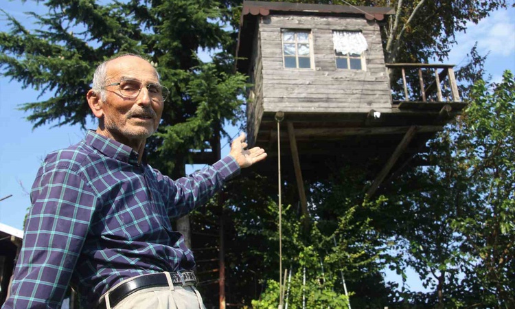 Ayrıntılar Netleşti: Ordu'da 85 yaşındaki Adnan Çandır, 90 yıllık meşe ağacına 16 metrekarelik ev yaptırdı: Ge