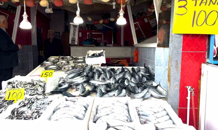 Ayrıntılar Netleşti: Palamut bolluğu fiyatları düşürdü, Rize Pazar'da 3 tanesi 100 TL'den satılıyor | İşte Tüm